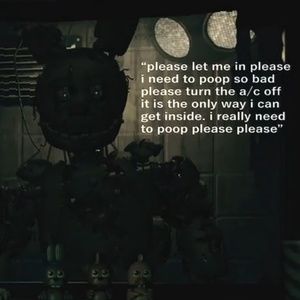 Meet your Posher, Riley